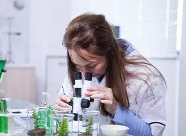 Natural Sciences & Mathematics